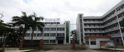綠色規范，硅業長青——東莞硅膠制品廠通關環保審批全紀實